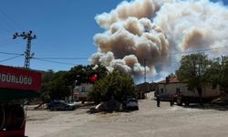 Balıkesir'deki orman yangınlarında 210 konut tahliye edildi