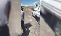 Belediye yapmayınca mahalleli asfaltı parayla alıp yolu onardı