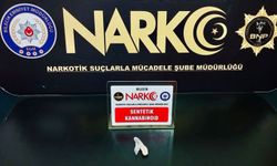 Bilecik'te uyuşturucu operasyonu: Bir şüpheli yakalandı
