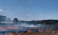 Bingöl'de iki ayrı yangın: İtfaiye ekipleri müdahale etti