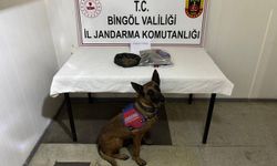 Bingöl'de kesinleşmiş hapis cezası bulunan 4 firari yakalandı