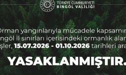 Bingöl'de ormanlık alanlara girişler yasaklandı