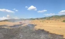 Bingöl'de otluk alanda çıkan yangın söndürüldü