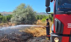 Bingöl'de yangın ormana sıçramadan söndürüldü
