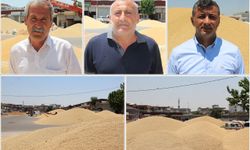 Buğday piyasası kilitlendi: Üretici ve tüccardan TMO'ya 'ÇKS' çağrısı