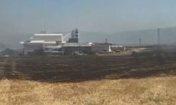 Bursa'da ağaçlık alanda çıkan yangın kontrol altına alındı