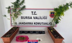 Bursa'da uyuşturucu operasyonu: 3 gözaltı