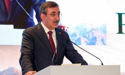 Cevdet Yılmaz'dan orman yangınlarına karşı tedbir çağrısı