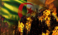 Cezayir orman yangınlarıyla mücadele ediyor