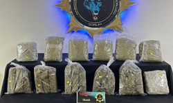 Çorum'da 9 kilogram skunk ele geçirildi