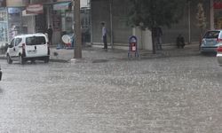 Doğu Karadeniz ve Doğu Anadolu'da sağanak bekleniyor