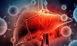 Dünya Hepatit Günü: 287 milyon kişi kronik hepatitle yaşıyor