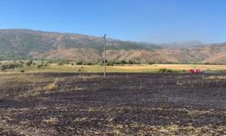 Elazığ'da arazi yangını ekiplerin müdahalesiyle söndürüldü