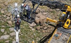 Elektrik direkleri göçmen kuşlar için güvenli yuvalara dönüşüyor
