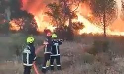 Fransa'da yanan alanların büyüklüğü 115 bin hektara ulaştı