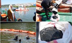 Haliç'te çevre farkındalık dalışı: Canlıların yaşaması asla mümkün değil