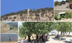 Hanililer dertli: Pir Aziz Türbesi hak ettiği ilgiyi görmüyor