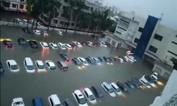 Hindistan'ın kuzeydoğusunda sel alarmı: 50 ölü ve yaklaşık 900 köy sular altında kaldı