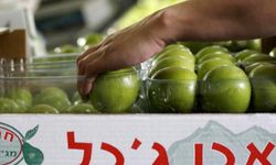 Hollanda, yasa dışı yerleşimlerden gelen ürünlerin ithalatını yasakladı