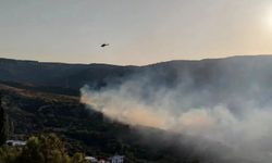 Homeros Vadisi çevresindeki orman yangını kontrol altına alındı
