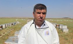 İdil'de 53 arıcı, 65 milyon arı ile bal üretiyor