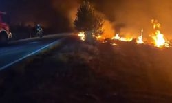 İspanya'nın orta kesiminde orman yangını