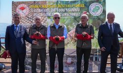 İstanbul Büyükada'da biyolojik mücadele için bin sülün doğaya bırakıldı