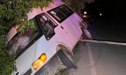 İzmir'de minibüs ağaca çarptı: 2 kişi yaralandı