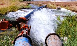 Kaçak elektrikle tarımsal sulama enerji arzını tehdit ediyor