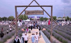 Karatay lavanta günleri sona erdi