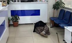 Kavurucu sıcaklar etkisini artırdı: İlaç almaya gelen yaşlı kadın eczanede uyuyakaldı