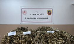 Konya'da uyuşturucu operasyonu: 5 tutuklama