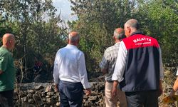 Malatya'da anız yangını: 50 dekarlık alan ile çok sayıda ağaç yandı