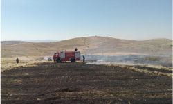 Malatya'da ekin alanında korkutan yangın
