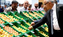 Malatya'da 'En İyi Kayısı' yarışması düzenlendi