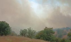 Malatya'da ormanlık alanda çıkan yangına çok sayıda ekip müdahale ediyor