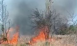 Malatya'da otluk ve bahçe yangını: Ekiplerin müdahalesi sürüyor