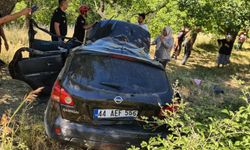 Malatya'da otomobil kayısı bahçesine girdi: 1 ağır yaralı