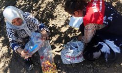 Malatya'da pestisit denetimlerinde 21 üreticiye işlem yapıldı