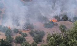 Malatya'da tüm uyarılara rağmen 62 yangın çıktı