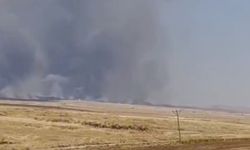 Mardin'de arpa ekili tarlada yangın: Yaklaşık 10 dönüm alan yandı