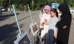 Mardin'de Gazze'deki soykırımın 1000'inci günü dolayısıyla karikatür sergisi düzenlendi