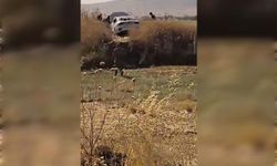 Mardin'de kontrolden çıkan otomobil tarlaya uçtu: 4 yaralı