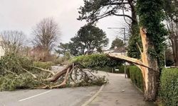 Meteoroloji'den kuvvetli rüzgâr uyarısı: Kuzey kesimlerde sağanak bekleniyor