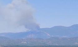 Muğla Fethiye'de orman yangını