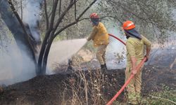 Muğla'daki orman yangını kontrol altına alındı
