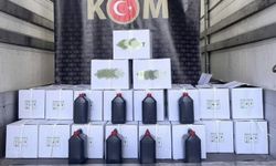 Niğde'de bin 20 litre metil alkol ele geçirildi