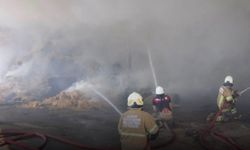 Ödemiş'te besi çiftliğinde çıkan yangında saman balyaları kül oldu