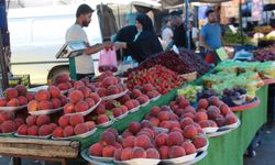 Pazarcı esnafı: Fiyatlar uygun ama alım gücü yetersiz