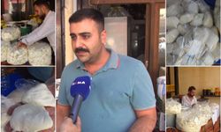 Peynirci Çelik: Doğru salamura edilen peynir bir yıl tazeliğini korur